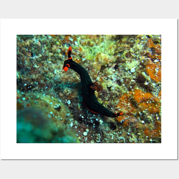 Nembrotha kubaryana nudibranch Wall Art by likbatonboot